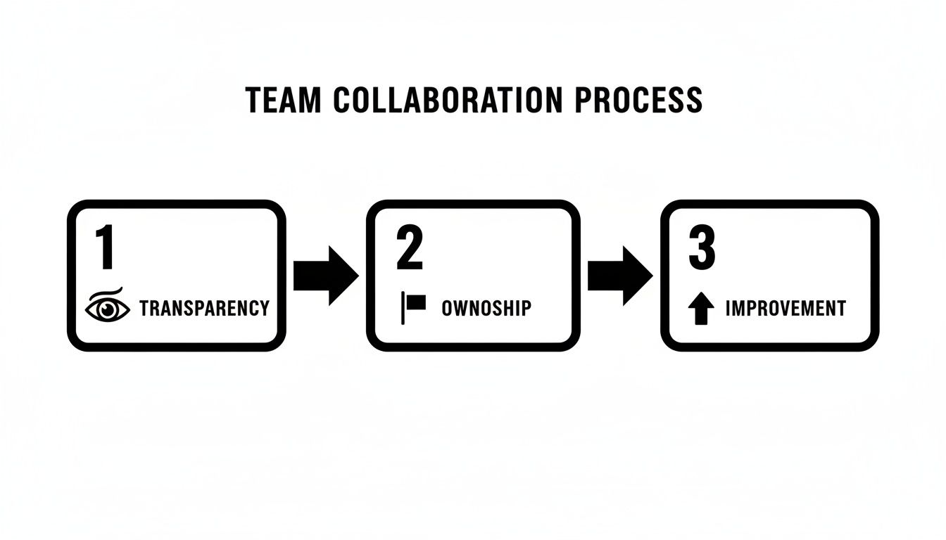 Infographic outlining the three-step team collaboration process: Transparency, Ownership, and Improvement.