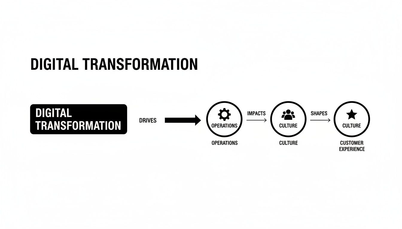 Diagram showing how Digital Transformation drives Operations, impacts Culture, and shapes Customer Experience.