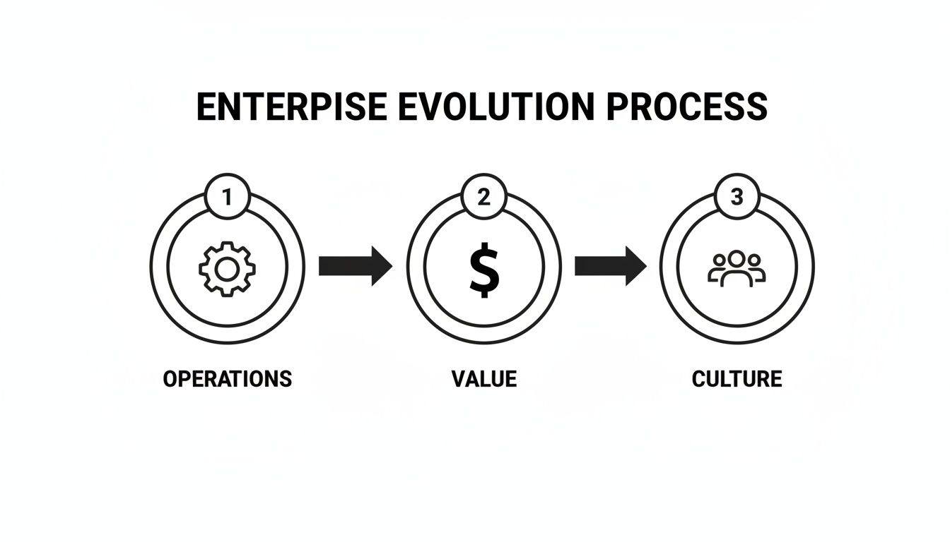 Enterprise Evolution Process diagram illustrating three steps: Operations (gear), Value (dollar), and Culture (people).