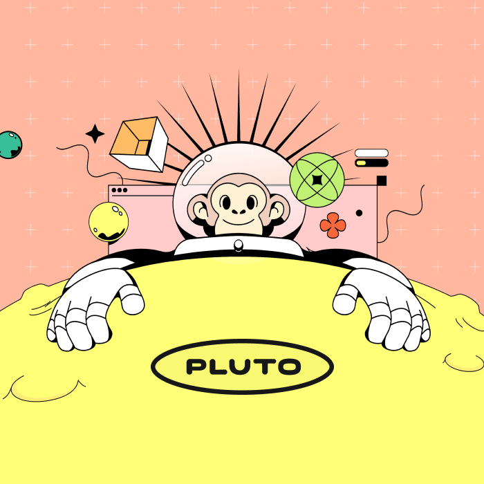Pluto Security